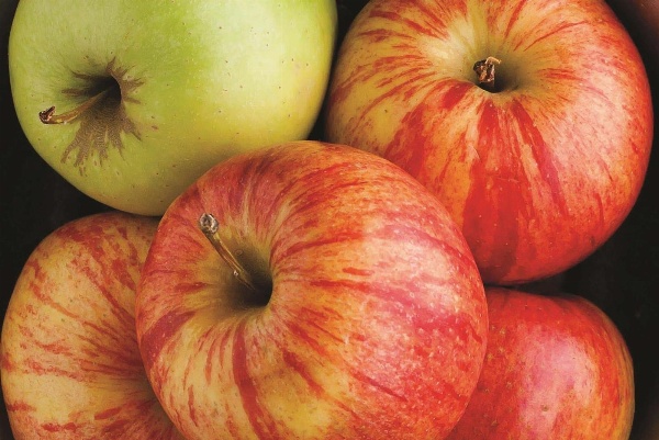 La Quinta Inn & Suites by Wyndham Loudon Main image